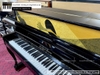 dan-piano-co-bernhard-steiner-u118-97071xx