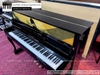 dan-piano-co-bernhard-steiner-u118-97071xx