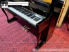 dan-piano-co-bernhard-steiner-u118-97071xx