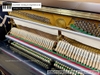 dan-piano-co-bernhard-steiner-u118-97071xx