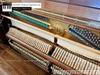 dan-piano-co-royale-sons-rs21-1057xx