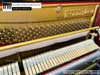 dan-piano-co-rolex-kr27-621xx