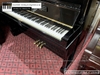 dan-piano-co-apollo-a7-314xx