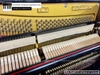 dan-piano-co-apollo-a7-314xx