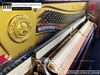 dan-piano-co-apollo-a7-314xx