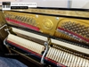 dan-piano-co-apollo-a7-314xx
