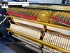 dan-piano-co-apollo-sr5-1661xx
