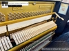 dan-piano-co-apollo-sr5-1661xx