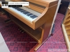 dan-piano-dien-kawai-ca71