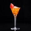 ct0044-martini-grison-cocktail-glass