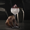 hjy3043b-crystal-coupe-highfoot-cocktail-glass-b