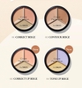 Che Khuyết Điểm The Saem Cover Perfecttion Triple Pot Concealer