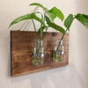 Bảng gỗ gắn bình thủy tinh treo tường (Loại đôi)