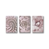 Bộ tranh Pink Cactus 3 bức 40x60cm