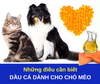 Dầu cá dành cho chó mèo - những điều bạn cần biết