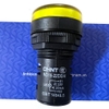 den-tu-dien-24v-22mm-mau-vang-nd16-22ds-2-chinh-hang-chint-k1h14