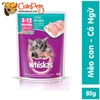 Pate cho mèo Whiskas 85g Thức ăn ướt co mèo đủ vị - Cutepets