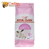 Royal Canin BabyCat 34 2KG Thức ăn mèo con