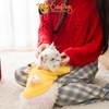 Áo cho chó mèo đeo gấu cute áo nỉ mùa đông cho thú cưng - CutePets
