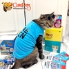 Áo cho chó mèo Đồng phục giao hàng BAE MIN - CutePets