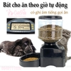 Máy bát ăn hẹn giờ cho ăn tự động 5.5L Có ghi âm gọi ăn - Cutepets