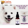 Chống Chảy Nước Mắt Cho Chó Mèo Siro Uống Lacrimal Gland Fluid Eyes 20ml - CutePets