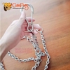 Dây xích inox kèm vòng cổ dành cho thú cưng - Cutepets