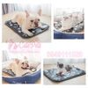 Đệm sưởi cho chó mèo mùa đông chống thấm nước- Cutepets
