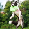 Đồ chơi đĩa bay nhựa Đồ huấn luyện thú cưng