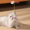 Đồ chơi vờn mèo dán tường dây co dãn gắn côn trùng - Cutepets