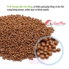 Hạt cho chó ToPet 1kg Hạt Hàn Quốc cho chó mọi lứa tuổi - Cutepets