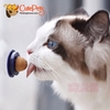 Kẹo liếm dinh dưỡng gắn tường cho mèo - CutePets