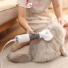 Máy sấy chải lông chó mèo 2in1 Pet Grooming Dryer 600w Máy sấy kiêm lược chải lông - Cutepets