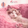 Ổ đệm lông tròn dày dành cho chó mèo và chó nhỏ - Cutepets