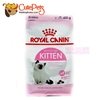 Hạt cho Mèo con Royal Canin Kitten 36 Hạt mèo cao cấp từ Pháp