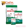 Royal Canin Mini ADULT 2Kg Thức ăn cho chó lớn - CutePets