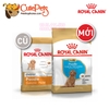 Royal Canin Poodle Junior 1.5kg Thức ăn cho chó Poodle - Cutepets