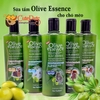 Sữa tắm Olive Essence 450ml Cho chó mèo Từ thiên nhiên - Cutepets