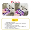 Súp thưởng mèo Cattyman 60g mix vị - Cutepets