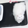 Thảm lót khay cát vệ sinh cho mèo chống bắn cát - CutePets