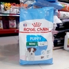 Hạt cho chó con Royal Canin Mini puppy