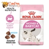 Thức ăn mèo con Royal Canin BabyCat 34 400g - Cutepets