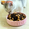 Thức ăn mèo Mister Donut T1 Kitten - CutePets