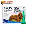 [1 Tuýp] Thuốc nhỏ gáy trị ve rận Frontline Plus cho chó mèo - Cutepets