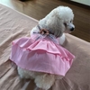 Váy cho chó mèo Váy 2 dây gắn nơ Quần áo chó mèo - CutePets