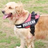 Đai lưng K9 chuyên dùng cho chó nghiệp vụ - Đai yếm chó - CutePets