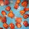 Cua Huỳnh Đế