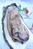 Hàu Sữa Pháp
