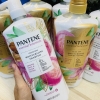 GỘI XẢ PANTENE PASSION FRUIT & COCOA BUTTER - 1.13L