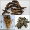 Chế biến vị thuốc: Huyền sâm